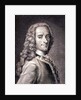 Francois Marie Arouet de Voltaire by Maurice Quentin de la Tour