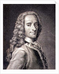 Francois Marie Arouet de Voltaire by Maurice Quentin de la Tour