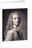 Francois Marie Arouet de Voltaire by Maurice Quentin de la Tour
