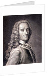 Francois Marie Arouet de Voltaire by Maurice Quentin de la Tour