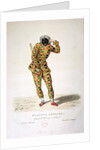 Harlequin by French School