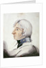 Portrait of Lord Horatio Nelson by English School