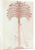 Fol.147v The Metaphor of the Palm Tree by Spanish School