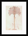 Fol.147v The Metaphor of the Palm Tree by Spanish School