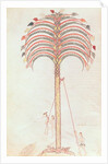 Fol.147v The Metaphor of the Palm Tree by Spanish School