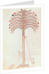Fol.147v The Metaphor of the Palm Tree by Spanish School