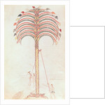 Fol.147v The Metaphor of the Palm Tree by Spanish School