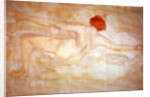 Female nude by Auguste Rodin