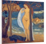 Mediterranee by Aristide Maillol