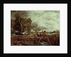 The Leaping Horse, 1825 by John Constable