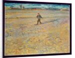 The Sower, 1888 by Vincent van Gogh