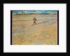 The Sower, 1888 by Vincent van Gogh