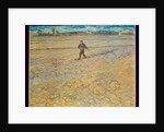 The Sower, 1888 by Vincent van Gogh