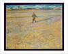 The Sower, 1888 by Vincent van Gogh