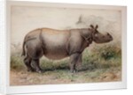 Javan Rhinoceros, 1874 by Joseph Wolf