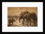 African Elephants by Joseph Wolf