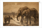 African Elephants by Joseph Wolf