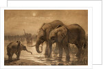 African Elephants by Joseph Wolf