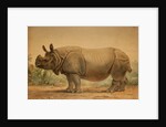 Indian Rhinoceros by Joseph Wolf