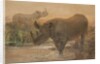 African Rhinoceros by Joseph Wolf
