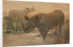 African Rhinoceros by Joseph Wolf