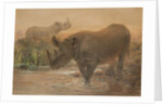 African Rhinoceros by Joseph Wolf