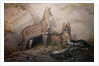 Serval, 1851-1869 by Joseph Wolf