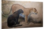 Leopards, 1851-69 by Joseph Wolf