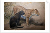 Leopards, 1851-69 by Joseph Wolf