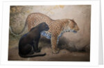Leopards, 1851-69 by Joseph Wolf