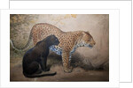 Leopards, 1851-69 by Joseph Wolf