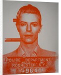 David Bowie, 2016 by David Studwell