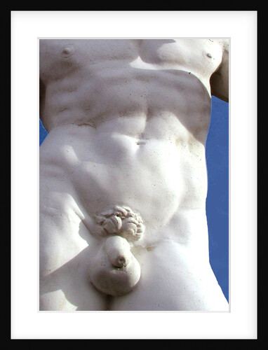 Davids Body by David Anslow