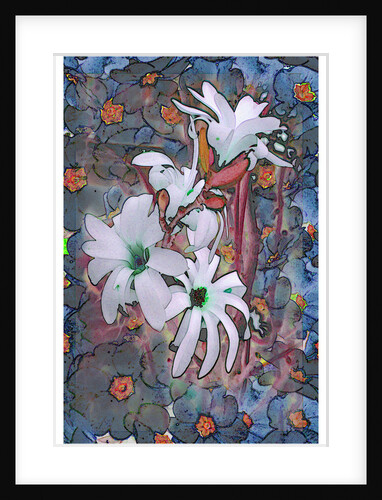 Mags and Prims by David Anslow