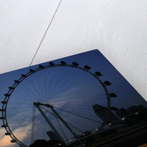 Wheel of fortune, Vitaly Petrov, Singapore by Charles Coates