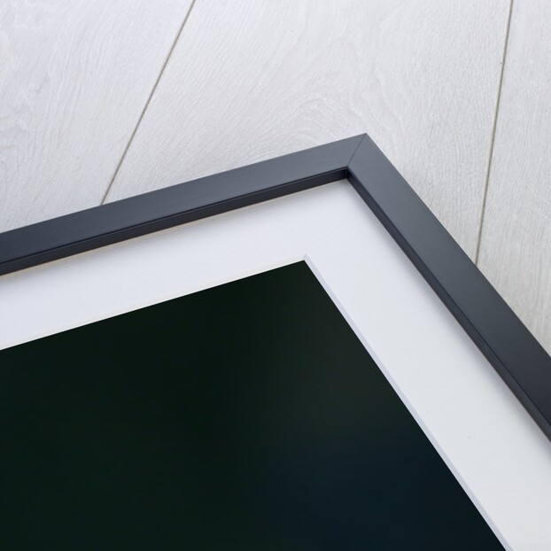 The funny side, Vitaly Petrov by Charles Coates