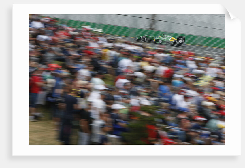 Crowd pleaser, Charles Pic, Australia by Andrew Ferraro