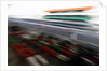 Colours of India, Vitaly Petrov, India by Lorenzo Bellanca