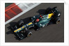 Flying Finn, Heikki Kovalainen, Abu Dhabi by Steven Tee