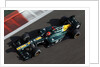 Flying Finn, Heikki Kovalainen, Abu Dhabi by Steven Tee