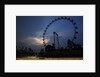 Wheel of fortune, Vitaly Petrov, Singapore by Charles Coates