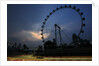 Wheel of fortune, Vitaly Petrov, Singapore by Charles Coates