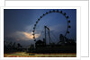 Wheel of fortune, Vitaly Petrov, Singapore by Charles Coates