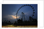 Wheel of fortune, Vitaly Petrov, Singapore by Charles Coates