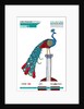 2013 Cheltenham Music Festival Programme Cover by Cheltenham Festivals