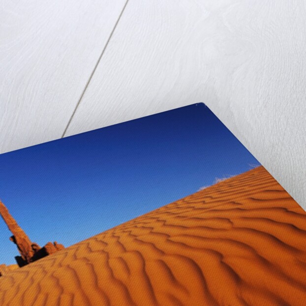 Hoodoos and Dune by Anonymous