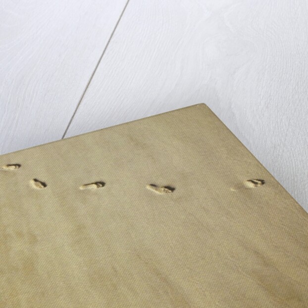 Aerial shot of footprints in wet sand by Anonymous