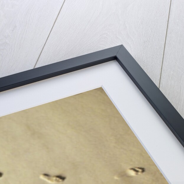 Aerial shot of footprints in wet sand by Anonymous