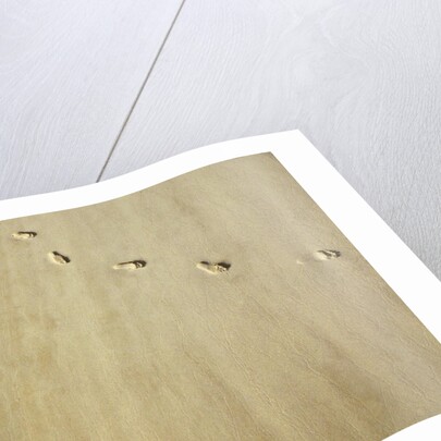 Aerial shot of footprints in wet sand by Anonymous