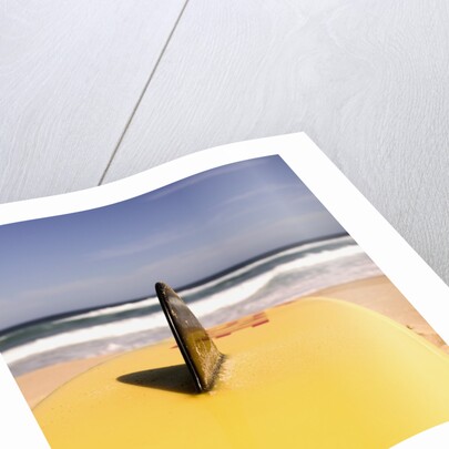 Lifeguard's Surfboard on Beach by Anonymous